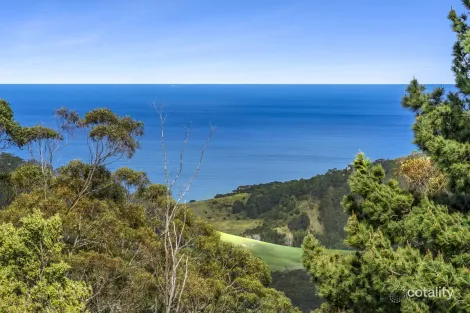 675 Skenes Creek Rd, Skenes Creek North, VIC 3233