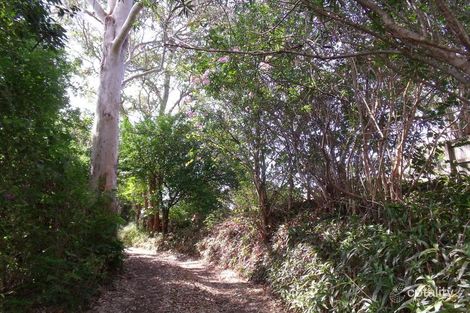 Property photo of 49 Campbell Road Kyogle NSW 2474