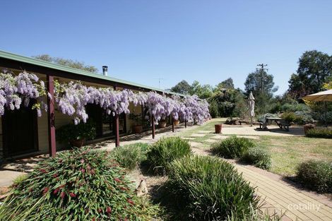 661 Coursing Park Rd, Yathella, NSW 2650