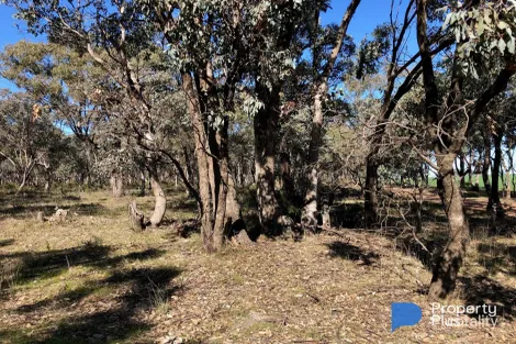 Property photo of 19 Campbell Street Eaglehawk VIC 3556