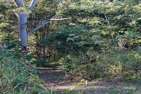 103 Contour Rd, Tamborine Mountain, QLD 4272