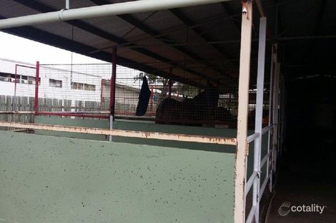 Property photo of 17 Tomkins Street Berserker QLD 4701