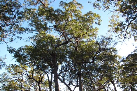 268 Bootmaker Dr, Round Hill, QLD 4677