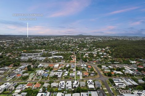 Property photo of 134 Erica Street Cannon Hill QLD 4170