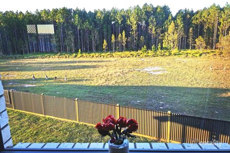 Property photo of 48 Waterbird Crescent Caboolture QLD 4510