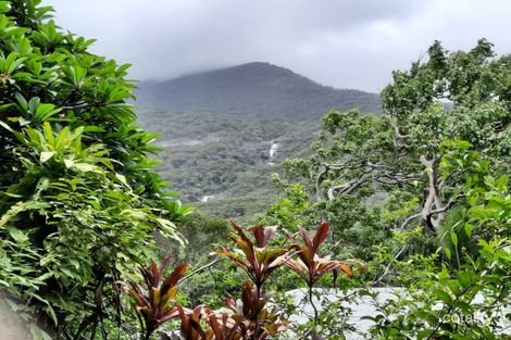 Property photo of 1495 Mount Amos Road Rossville QLD 4895