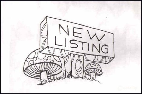 43 Grey Gum St, Medowie, NSW 2318