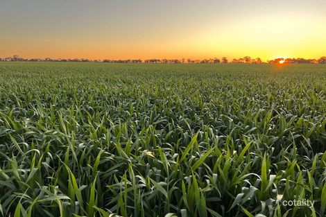 2810 Tuppal Rd, Pine Lodge, NSW 2714