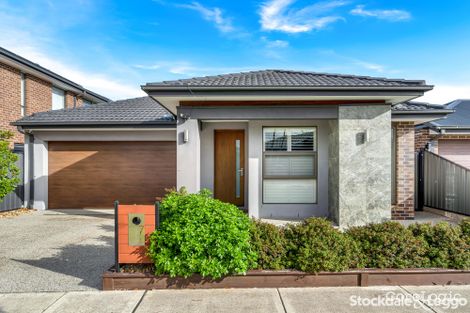 Property photo of 7 Elvire Road Craigieburn VIC 3064