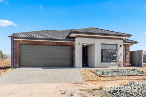 Property photo of 18 Coral Street Cobblebank VIC 3338