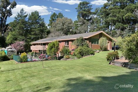 19 Old Warrandyte Rd, Donvale, VIC 3111