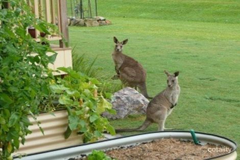 Property photo of 639 Currumbin Creek Road Currumbin Valley QLD 4223