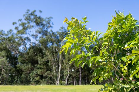 Property photo of 50 Creekline Place Mooloolah Valley QLD 4553