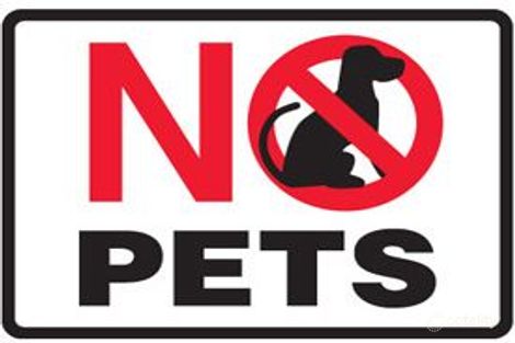 Property photo of 50 Charlton Crescent Ormeau QLD 4208