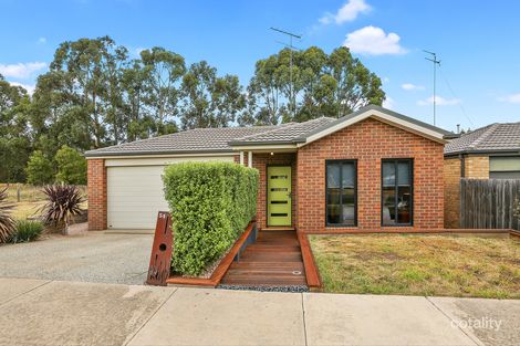 Property photo of 54 Delungra Avenue Clifton Springs VIC 3222