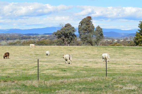1 Figures St, Tumbarumba, NSW 2653