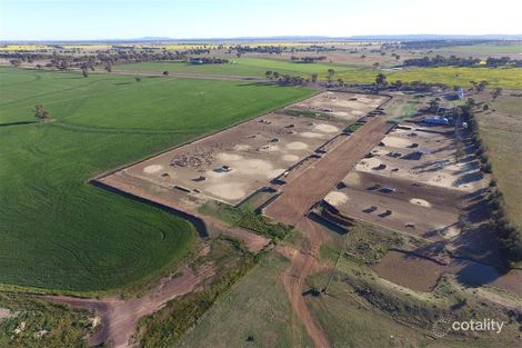 860 The Bogan Way, Forbes, NSW 2871