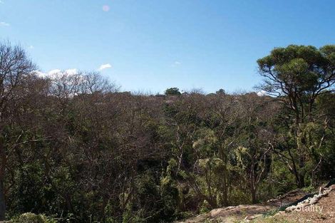 Property photo of 22 Dawson Street Naremburn NSW 2065