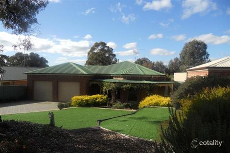 Property photo of 3 Shelley Street Spring Gully VIC 3550