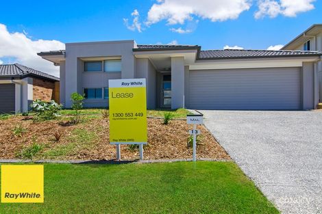 Property photo of 13 Paddy Circuit Ormeau QLD 4208