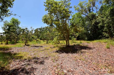 56178 Bruce Hwy, Kennedy, QLD 4816