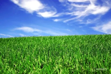 19 Woody Ct, Bannockburn, VIC 3331