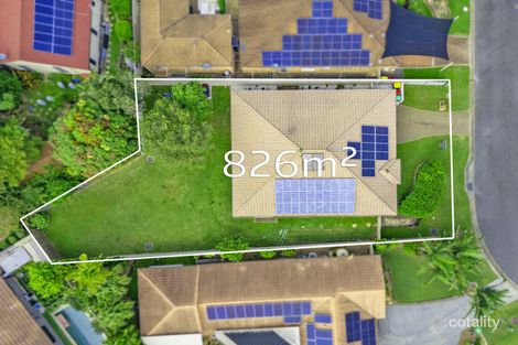 Property photo of 26 Gemini Circuit Molendinar QLD 4214