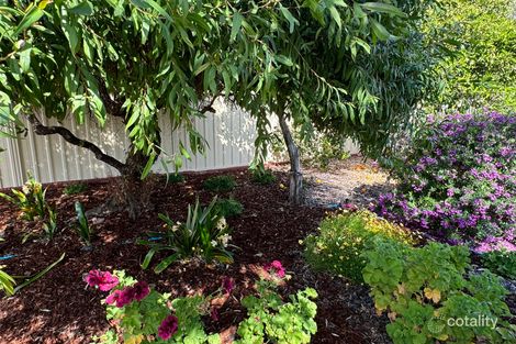 Property photo of 10 Powell Crescent Quairading WA 6383