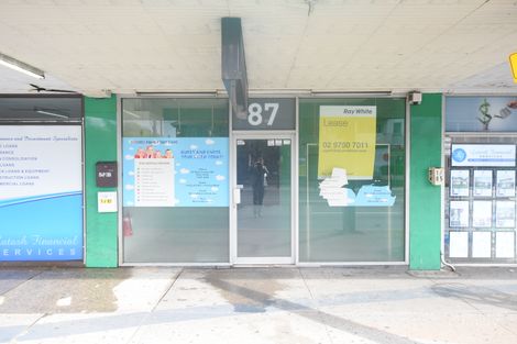 87 King Georges Rd, Wiley Park, NSW 2195