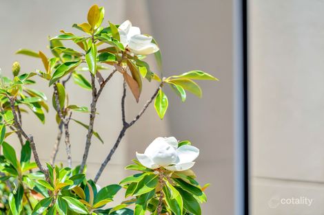 Property photo of 3/25 Furness Court Kearneys Spring QLD 4350
