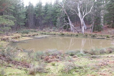 280 Redbank Rd, Triangle Flat, NSW 2795