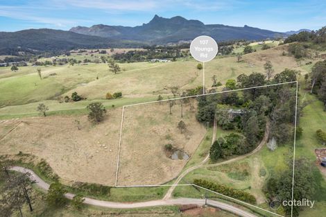 107 Youngs Rd, Limpinwood, NSW 2484