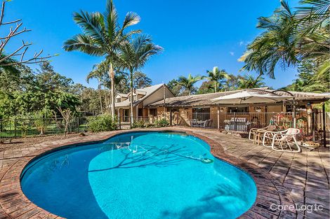 Property photo of 31 Anembo Avenue Pimpama QLD 4209