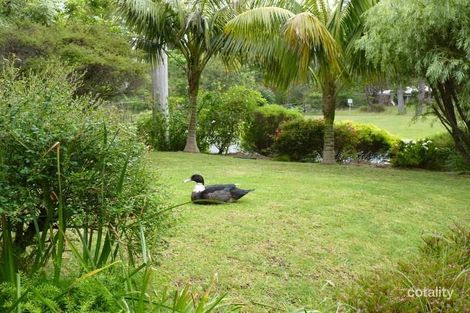 Property photo of 25 River Road Lake Tabourie NSW 2539