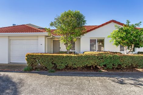 Property photo of 36/83 Heeb Street Ashmore QLD 4214