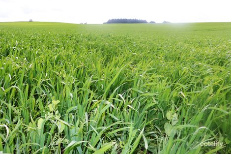 Lot 12 Hill Rd, Yahl, SA 5291