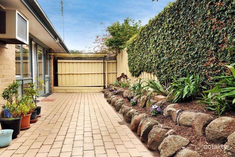 Property photo of 3/31 Iris Road Glen Iris VIC 3146