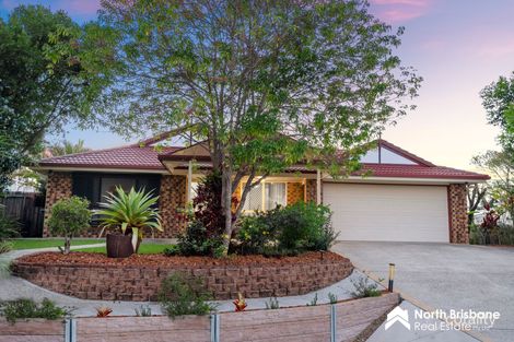 Property photo of 42 Rifle Range Road Narangba QLD 4504