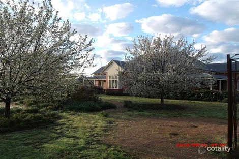 135 Nash St, Parkes, NSW 2870