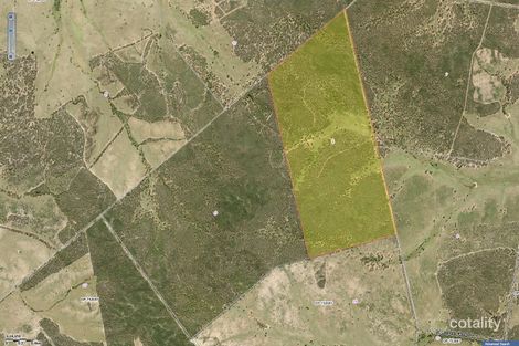 2111 Carlisle Rd, Fifield, NSW 2875