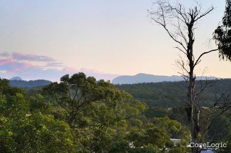 Property photo of 45 Ladds Ridge Road Burleigh Heads QLD 4220