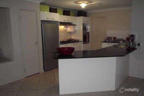Property photo of 53 Tobys Boulevard Mount Pritchard NSW 2170