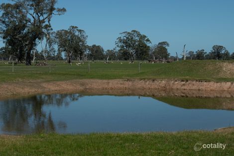 41 J Quigleys Rd, Douglas, VIC 3409