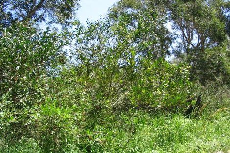 8 Ocean Park Rd, Belmont South, NSW 2280