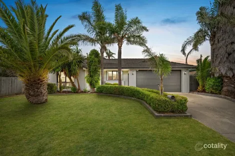 Property photo of 88 Palm Tree Drive Safety Beach VIC 3936