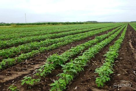 91 Wyrallah Rd, Girards Hill, NSW 2480