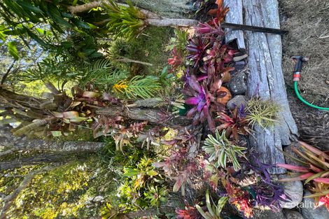 1081 Beaudesert-Nerang Rd, Clagiraba, QLD 4211