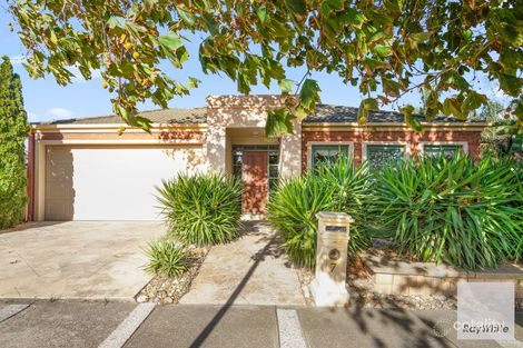 Property photo of 7 Rowlandson Place Taylors Lakes VIC 3038