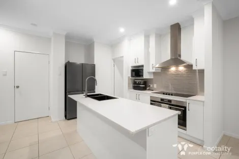 Property photo of 22 Alberg Street Spring Mountain QLD 4300