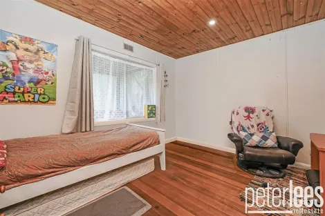 Property photo of 19 Hargrave Crescent Mayfield TAS 7248
